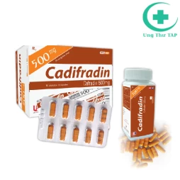 Cadifradin 500 - Điều trị các trường hợp nhiễm khuẩn